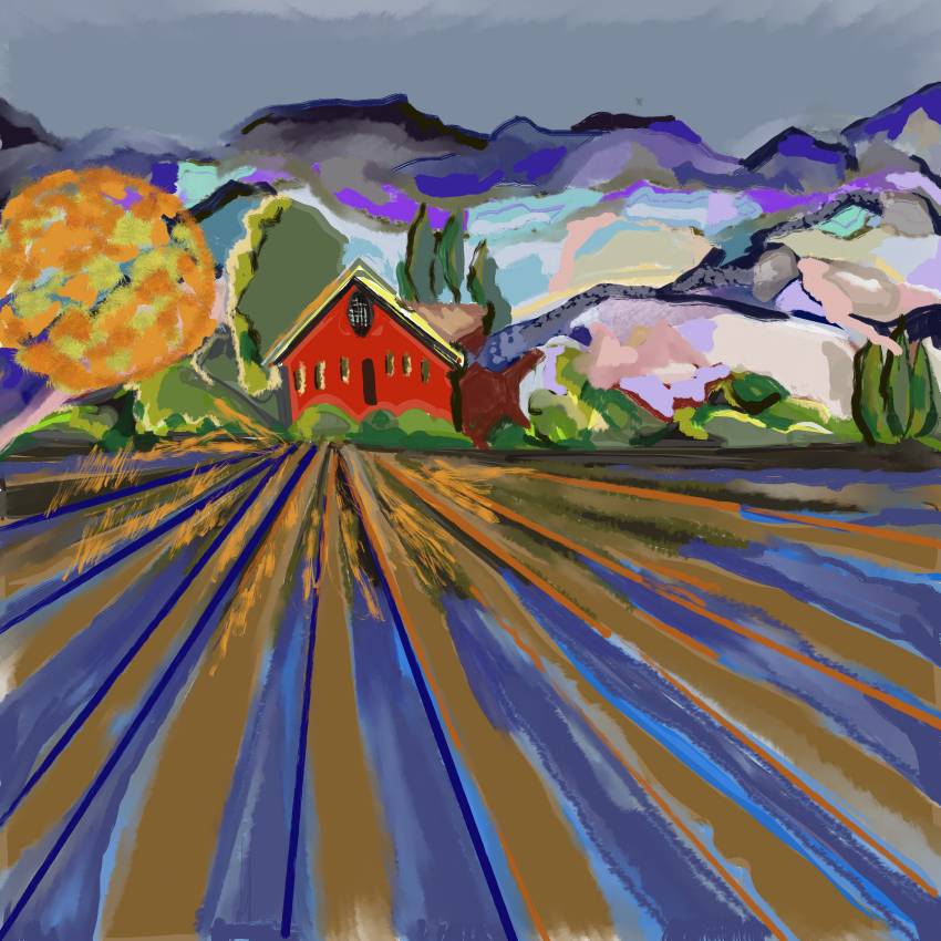 Napa Valley Landscape